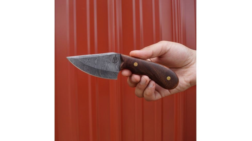 BucknBear Wild Skinner with Walnut Wood Handle, Silver, Wood, BNB134660