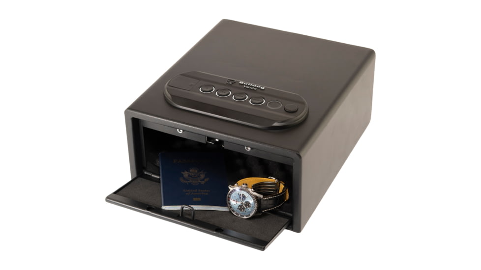 Bulldog Cases &amp; Vaults Trio LED/Biometric Single Quick Vault, Black, BD70TV