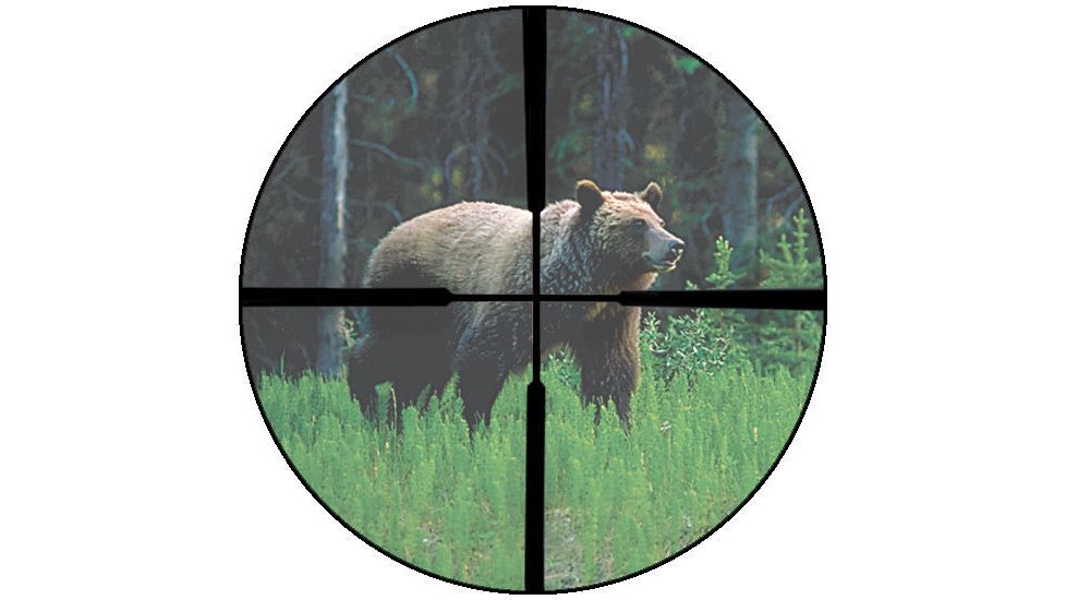 Burris Plex Reticle