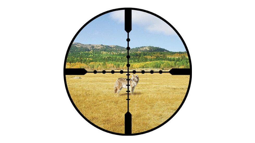 Burris Ballistic Mil Dot Reticle View