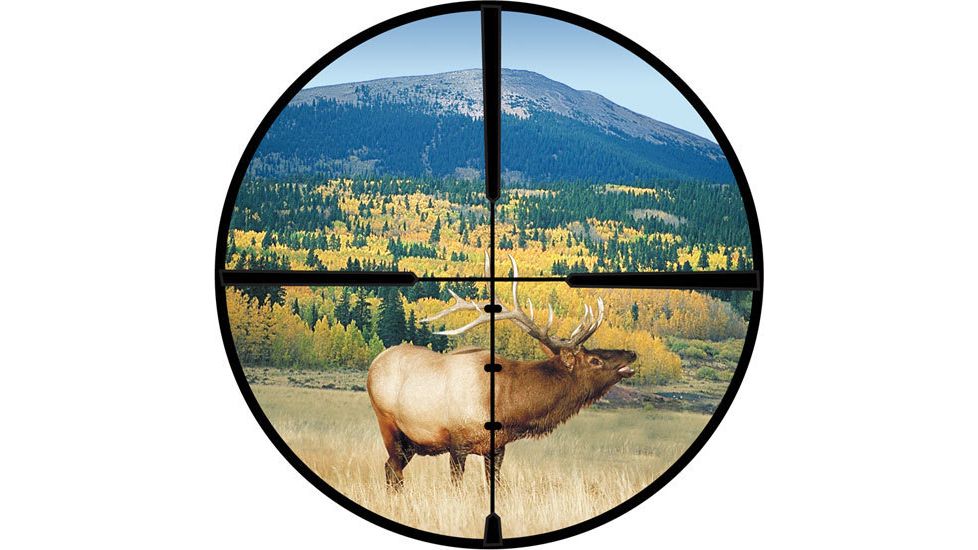 BalisticPlex Burris Reticle