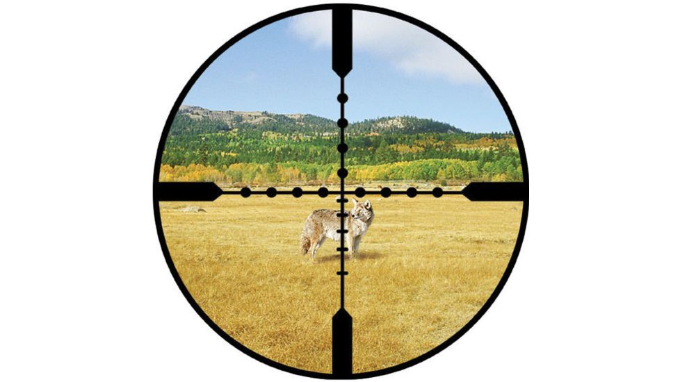 Ballistic Mil-Dot Reticle