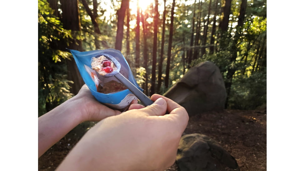 Bushkas Kitchen Rice Puddin, Double Serving, fd-07