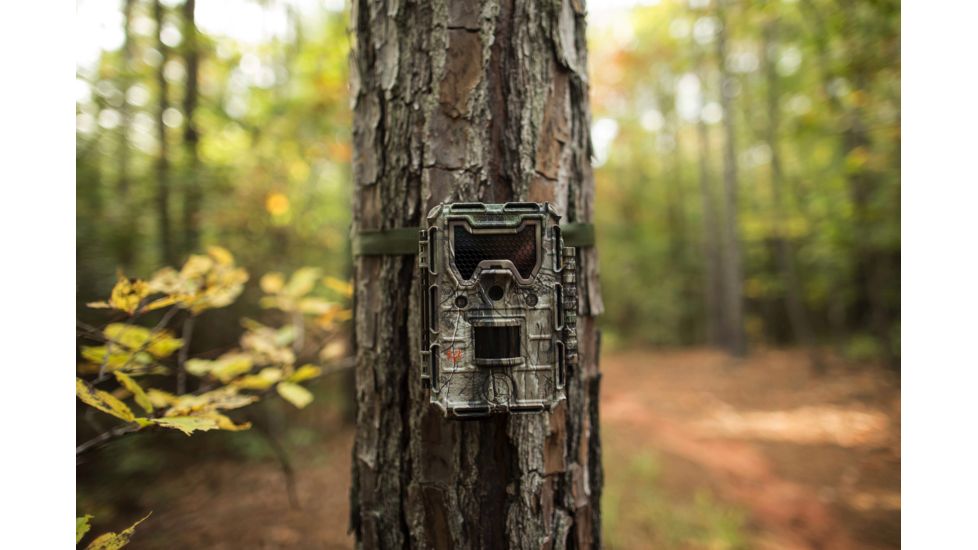 Bushnell 12MP Trophy Cam Aggresor HD,Realtree Xtra,Low Glow 119775C