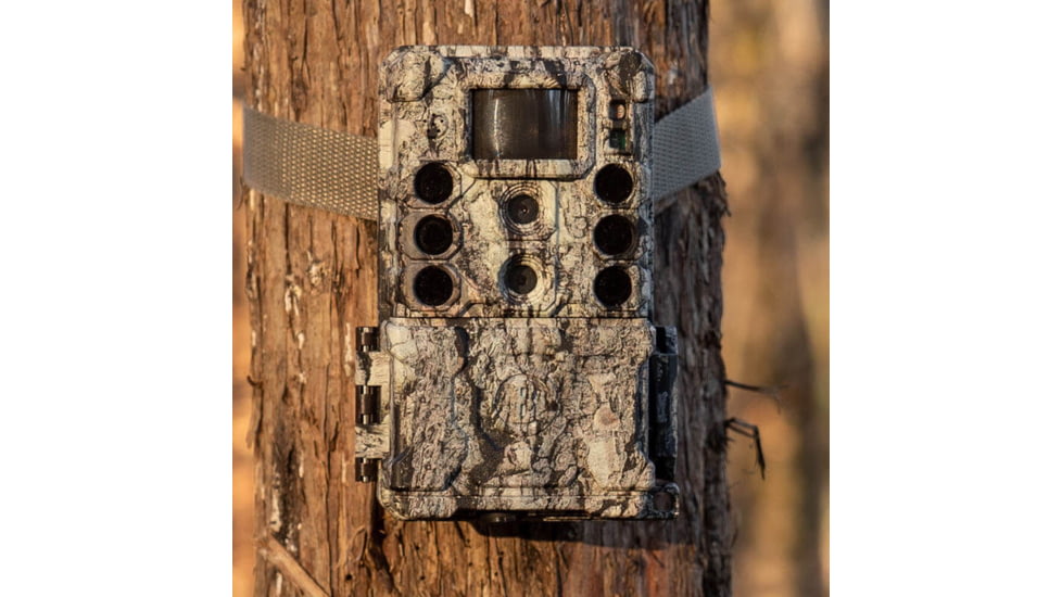 Bushnell Core DS4K True Target