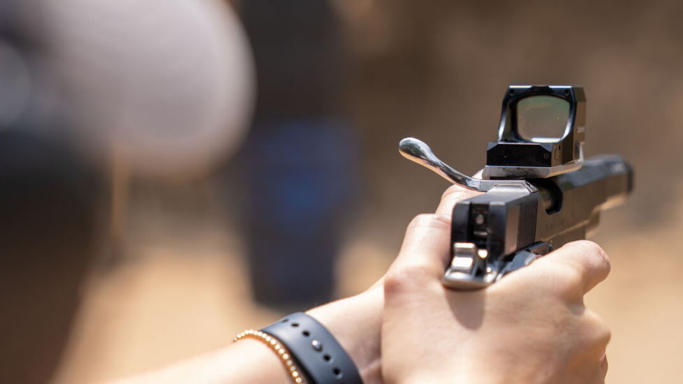 Bushnell RXM-300 1x28mm Reflex Red Dot Sights, 4 MOA Red Dot Reticle, Black, RXM300