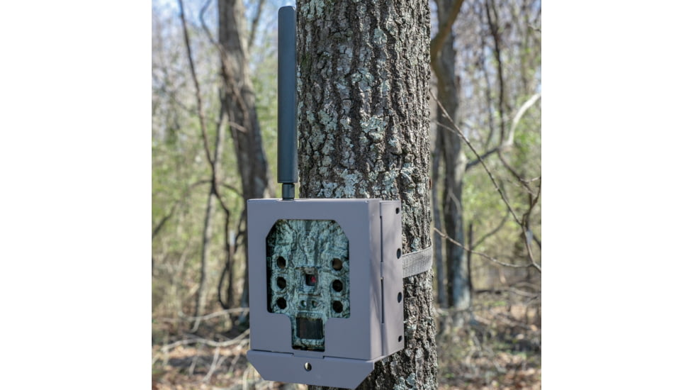 Bushnell Security Box Cellular, Tan, 119951C