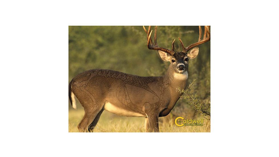 Caldwell Natural Series Deer Target 234412