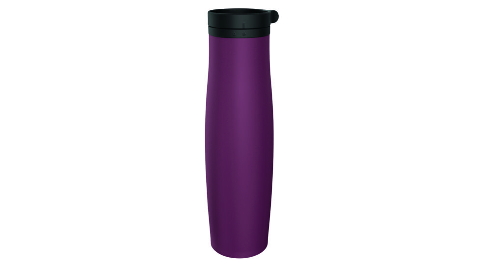 CamelBak Beck Vacuum Stainless Bottle, Plum, 20oz, 2159502060