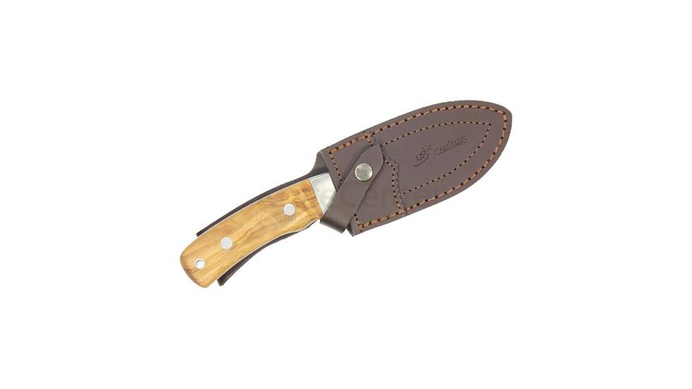 Camillus Knives Les Stroud Aspero 440SS 4-11/16in. Blade Guthook, Stainless Steel 196259