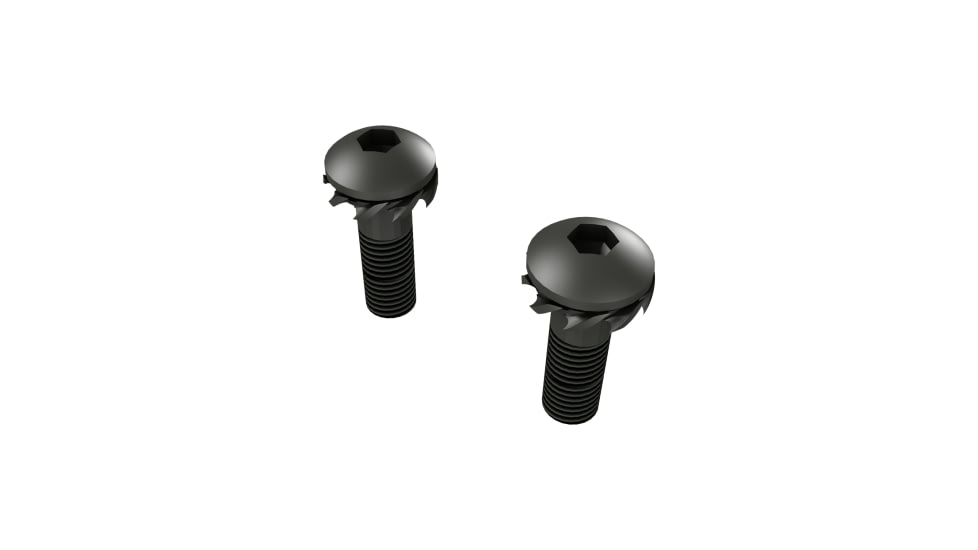 Canik SFX Rear Sight Base Screws, Pack of 2, Black, PACN0125