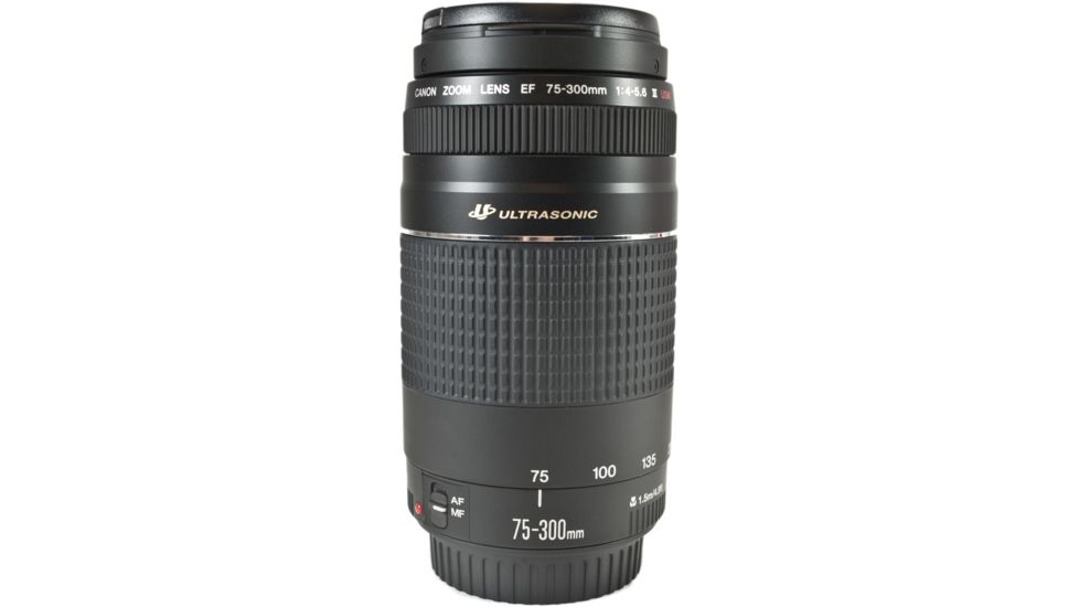 Canon EF 75-300mm f/4-5.6 III USM Lens