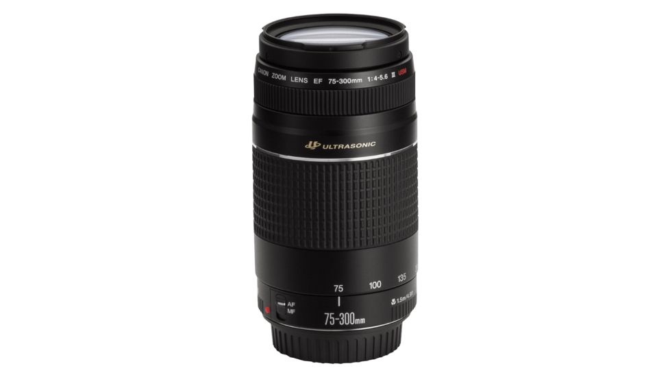 Canon EF 75-300mm f/4-5.6 Lens