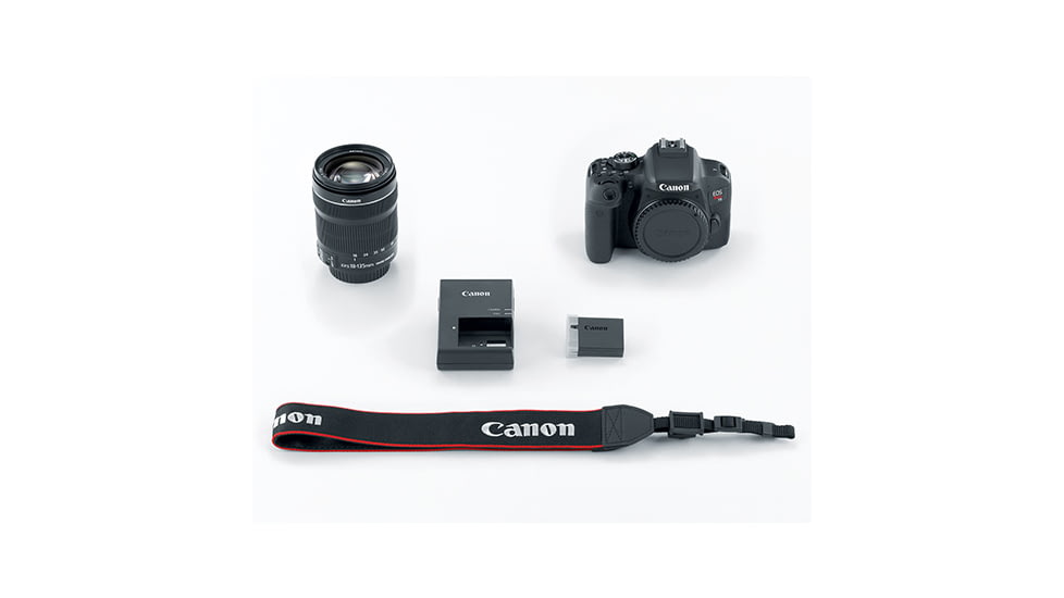 Canon EOS Rebel T7i EF-S 18 - 135mm IS STM Kit, Black, 1894C003