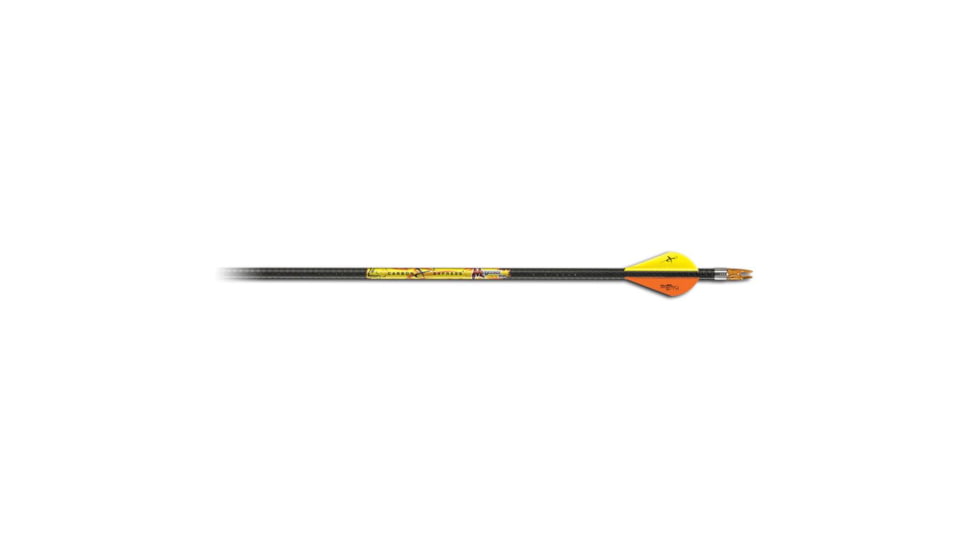 Carbon Express Mayhem, Arrows 250 Blazer Vanes 6 pk. T1321