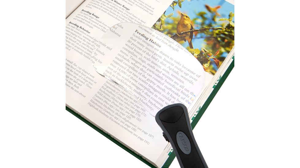 Carson Lighted Rectangle RimFree 2x Magnifier w/ Bright White LEDs RM-77
