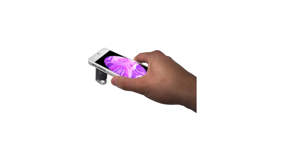 Carson MicroMaxPlus 2 LED Microscope w/ iPhone 5 Adapter, White MM-255
