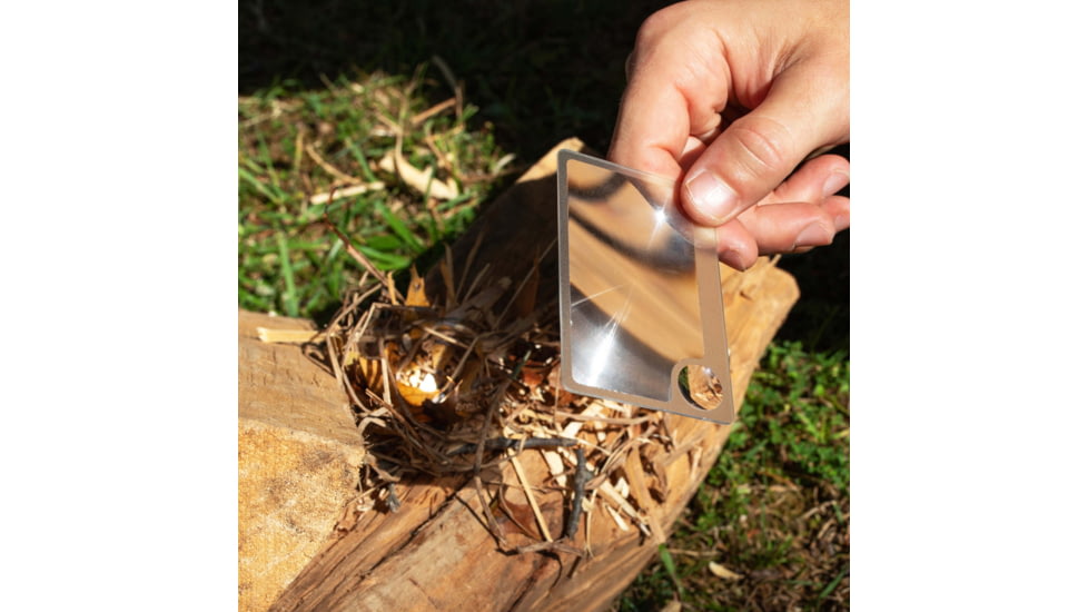 Carson Optical WM-21 Credit Card Sized Magnifier with Spot Lens, Clear, 2.1 in x 0.1 in x 3.4 in, WM-21