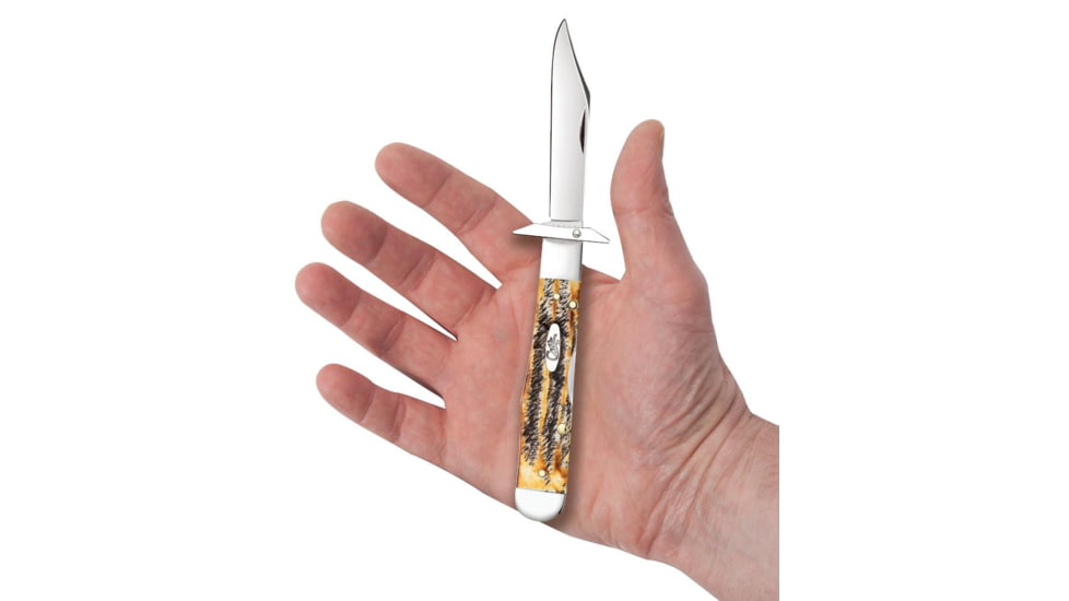 Case Cheetah Folding Knife, 4.38 in, Tru-Sharp Surgical Steel, Case 6.5 BoneStag Handle, 65319