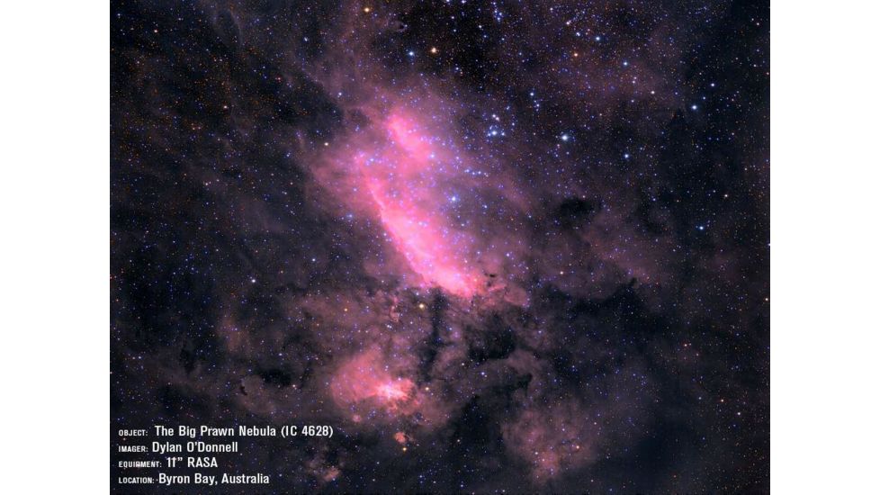 Celestron 11in Rowe-Ackermann Schmidt Astrograph V2, 91076