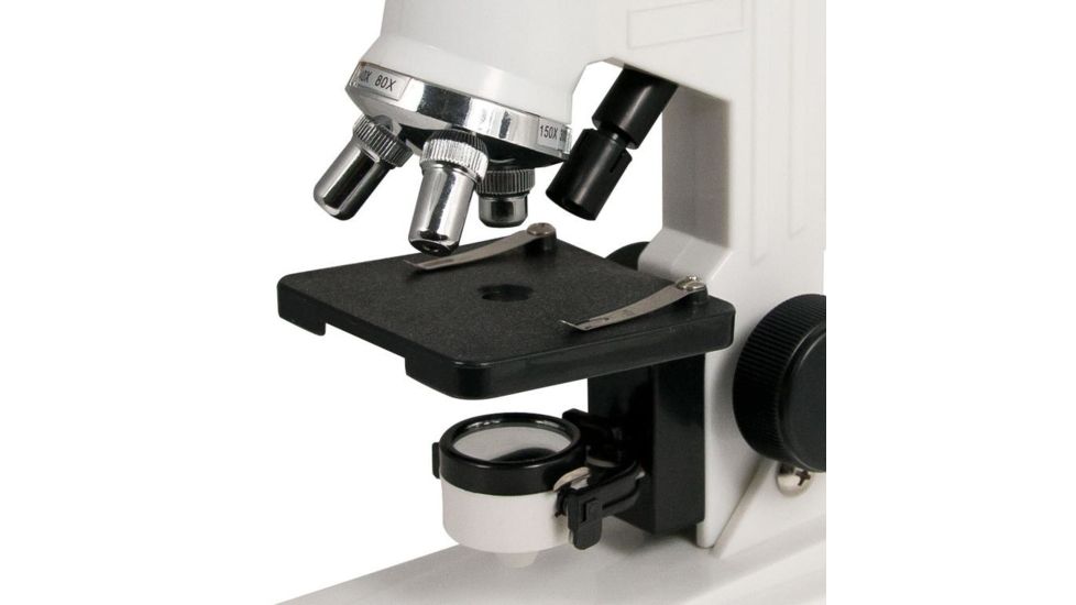 Celestron 40x-600x Compound Microscope Kit 44121