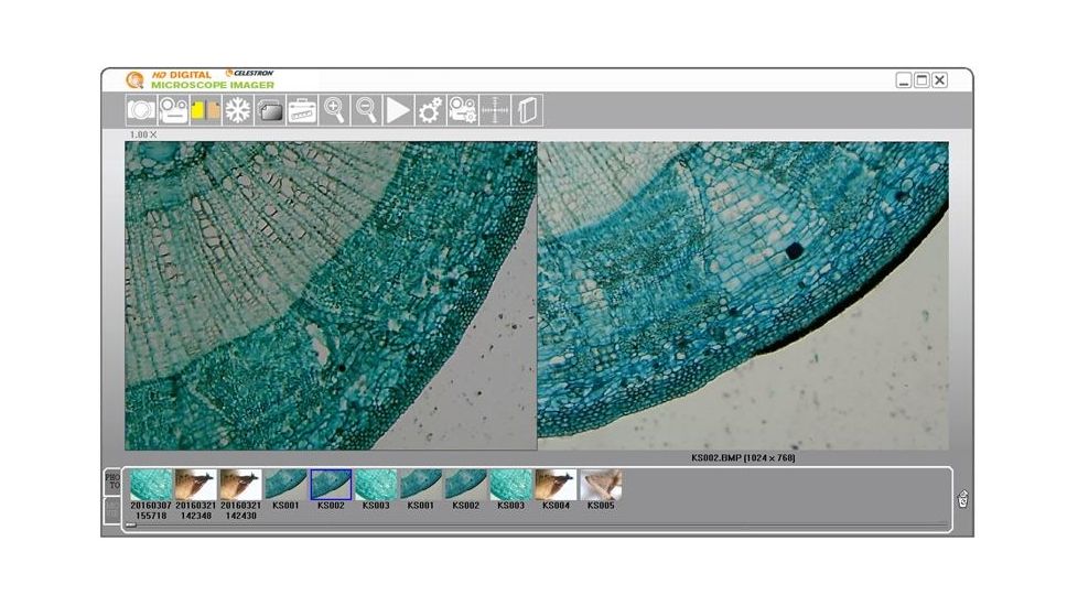 Celestron HD 5MP Digital Microscope Imager, Black 44422