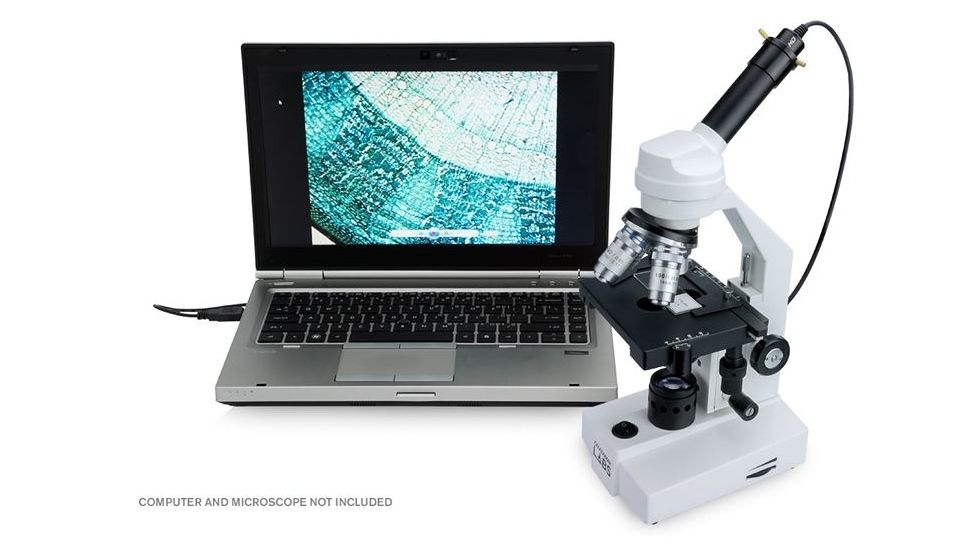 Celestron HD 5MP Digital Microscope Imager, Black 44422