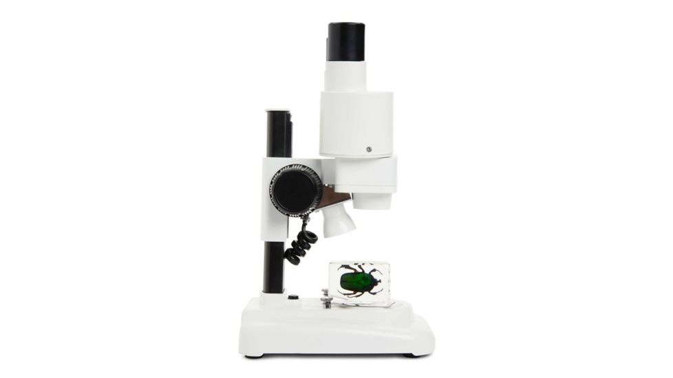 Celestron Labs S20 Stereo Microscope,10x Eyepieces,2x Objective Lenses 44207