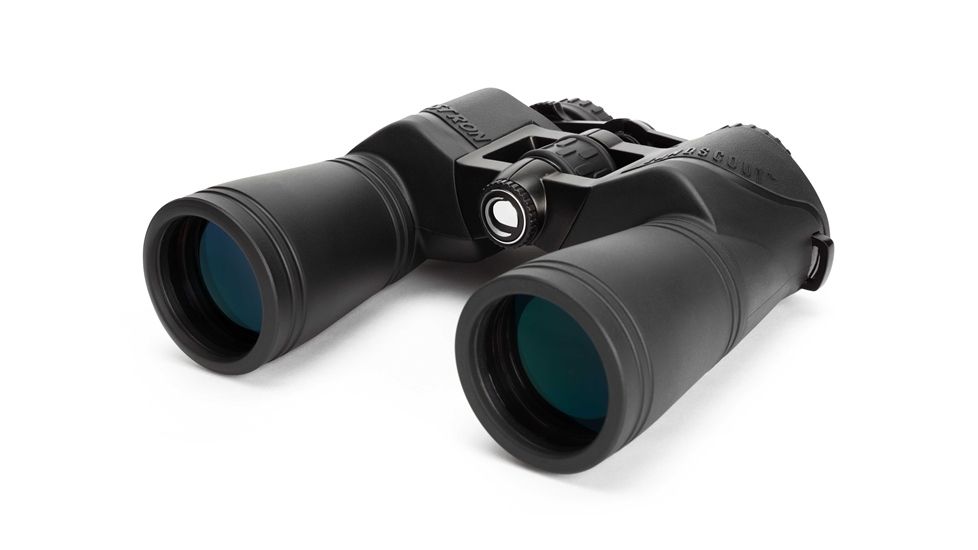 Celestron LandScout 10x50 Binocular, Black 71362