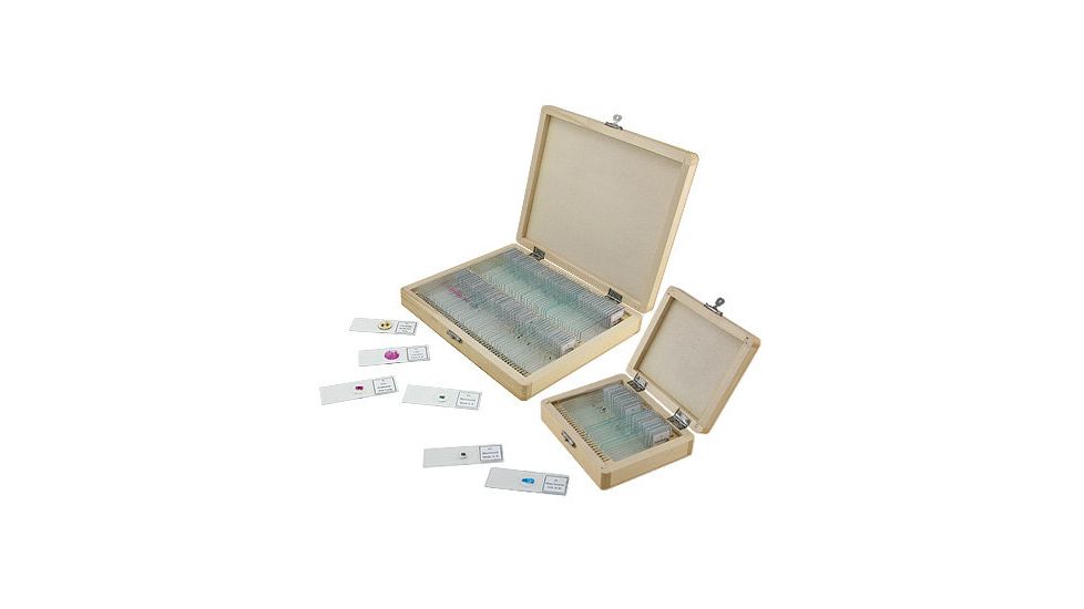 Prepared Microscope Slide Sets
