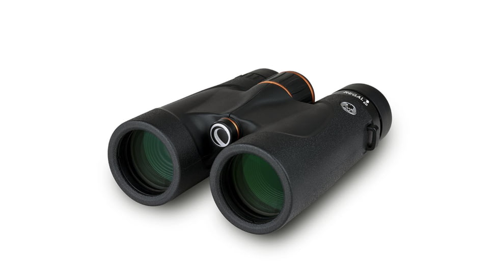 Celestron Regal ED 10x42 Roof Prism Binoculars, Black, 71391