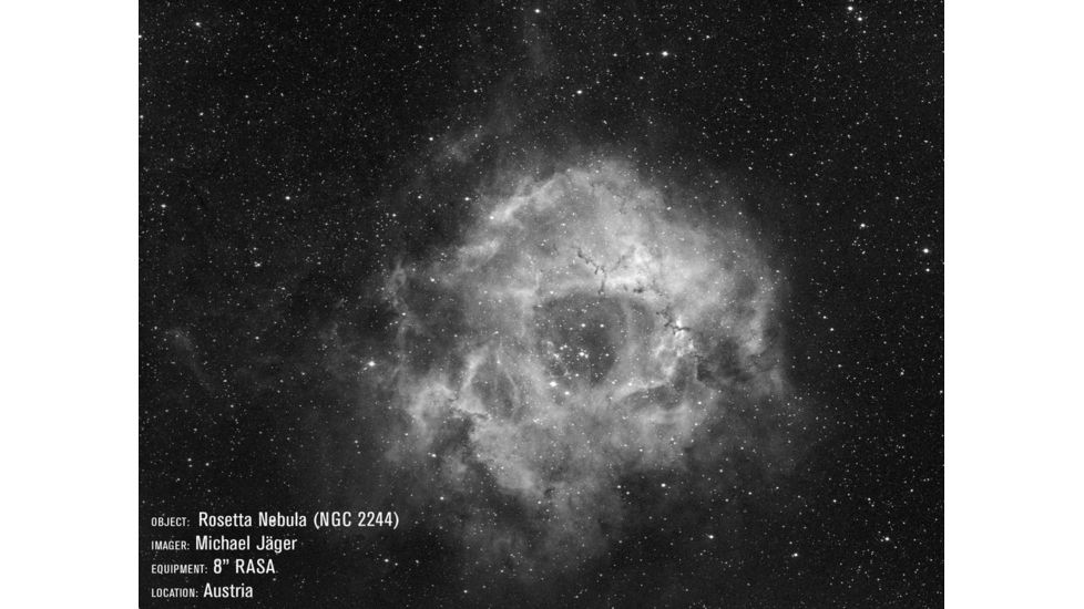 Celestron Telescope CGX 800 RASA, f/2.0, White, 12058