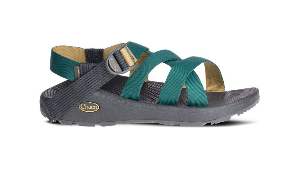 Chaco Banded Z Cloud - Mens, Mallard Curry, Medium, 15.0, JCH106817-15.0