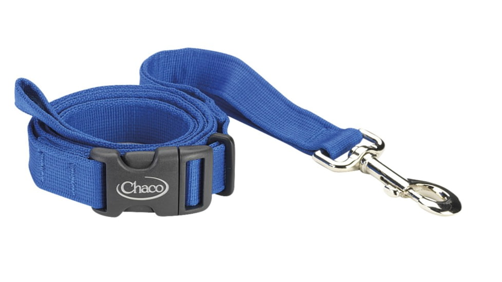 Chaco Dog Leash-Blue Bird