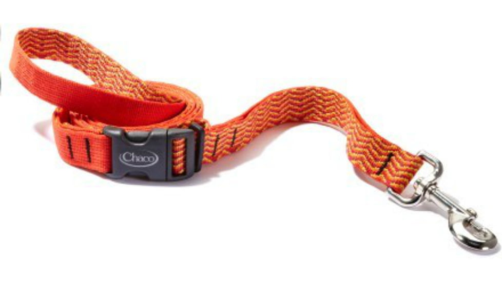 Chaco Dog Leash-Summer Sunset