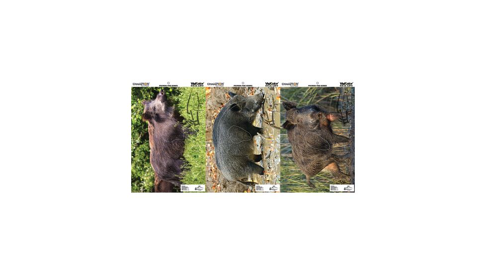 Champion Traps and Targets VisiColor Real Life Targets Pigman Variety Pack 12x18 Inches