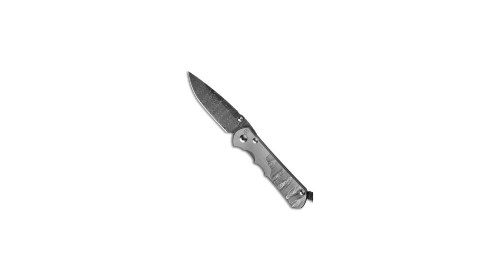 Chris Reeve Knives Sebenza 25 Folding Knife, 3.625in, Damascus, Clip Point Blade, Titanium, Gray Handle, Ladder Damascus, Gray/Gray, 8.375 inch, BHQ-29036
