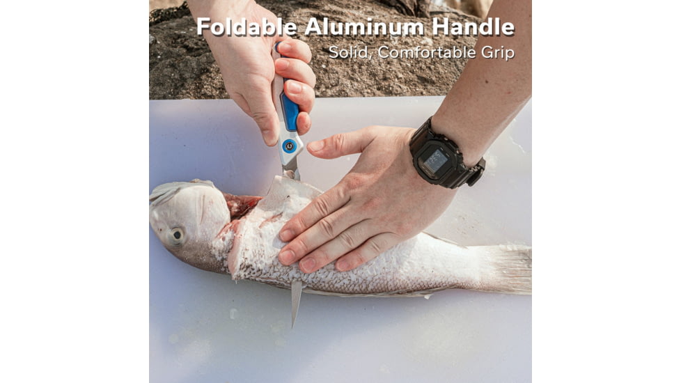 Civivi Knife Shawka 5.81 Silver Blue Folding Fillet Knf