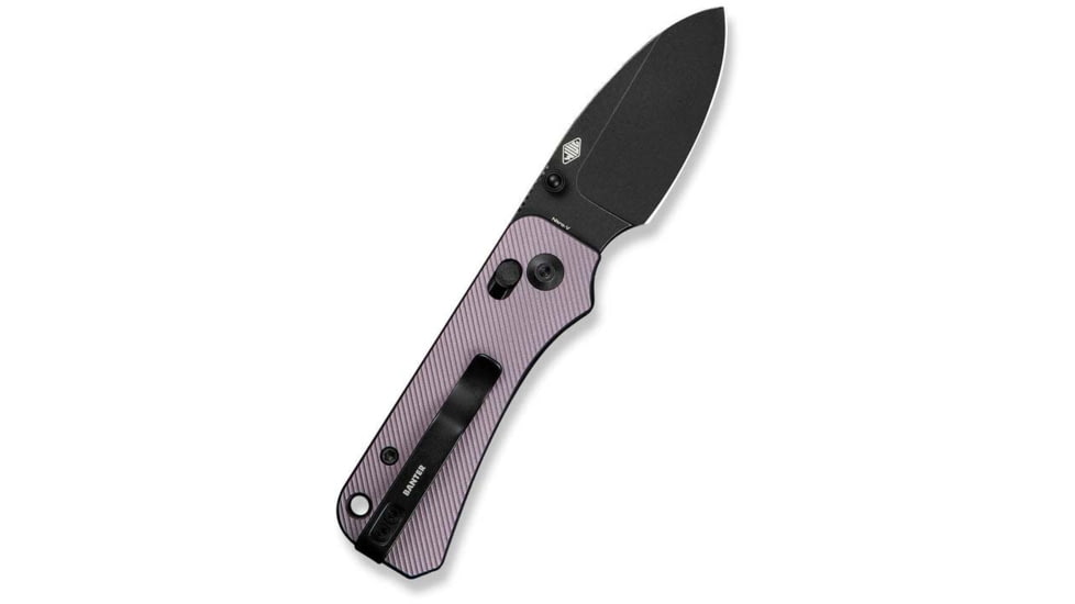 Civivi Knives Baby Banter 2 2.34: Folding Drop Point Plain Black Stonewashed Nitro-V Steel Blade, Purple Textured Aluminum Handle,C23074-2