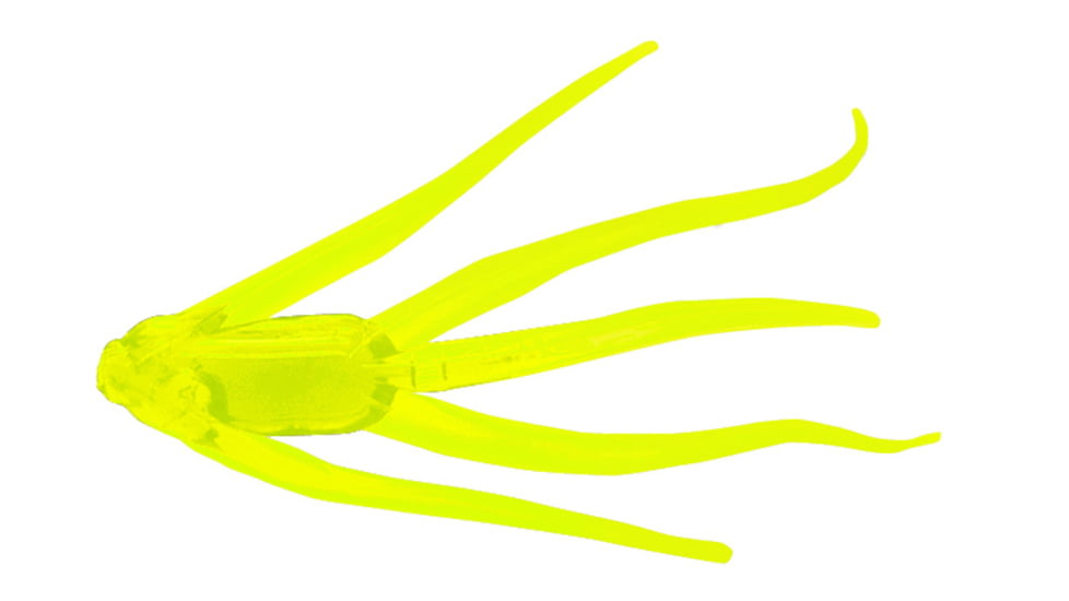 Clam Maki Water Spider