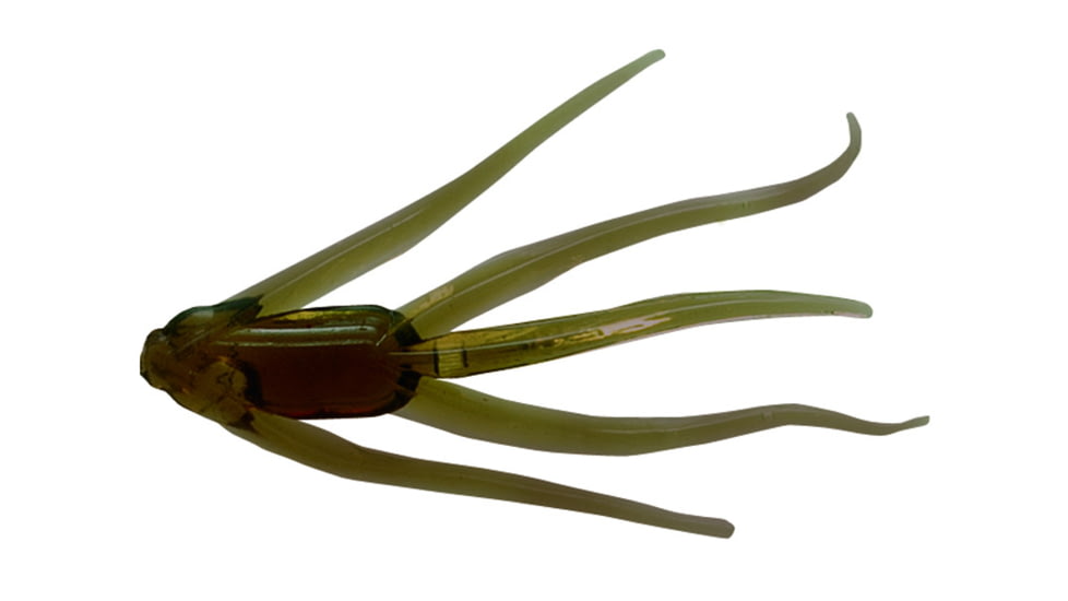 Clam Maki Water Spider