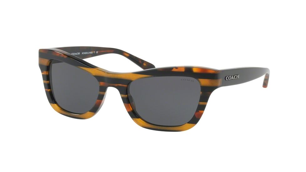 Coach L1653 HC8223 Sunglasses 544087-53 - Blk Amber Gltr Varsity Stripe Frame, Dark Grey Solid Lenses