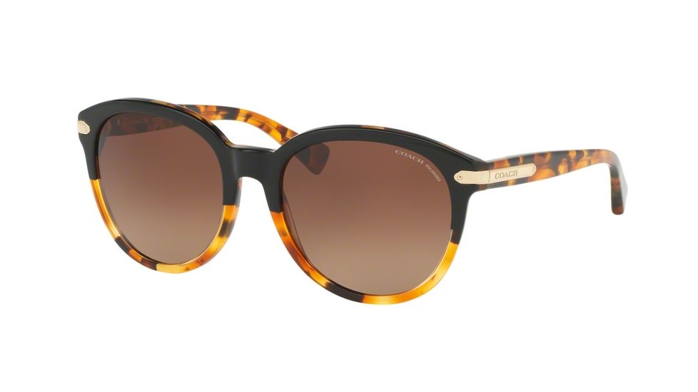 Coach L554 HC8140F Progressive Prescription Sunglasses HC8140F-5438T5-55 - Lens Diameter 55 mm, Frame Color Black Tortoise/Tortoise