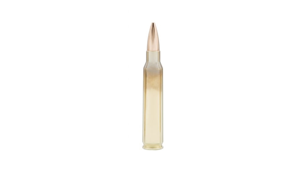 Cor Bon 223 Rem 69 Grain Hollow Point Boat Tail Brass Cased Rifle Ammo, 20 Rounds, PM22369/20