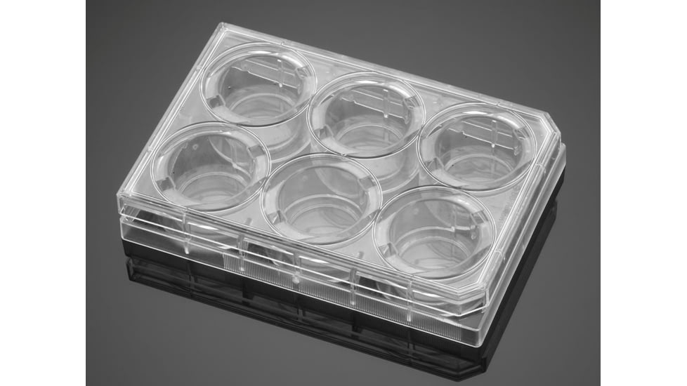 Corning PLATES6WL Biocoat Matrigel CS5 354671
