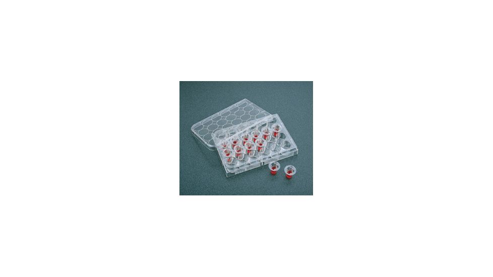 Corning Transwell Inserts 6.5MM CS48 3421