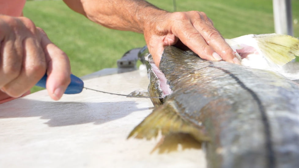 Cuda AquaTuff Fillet Knife with Blade Cover, Blue, 6in, 23045