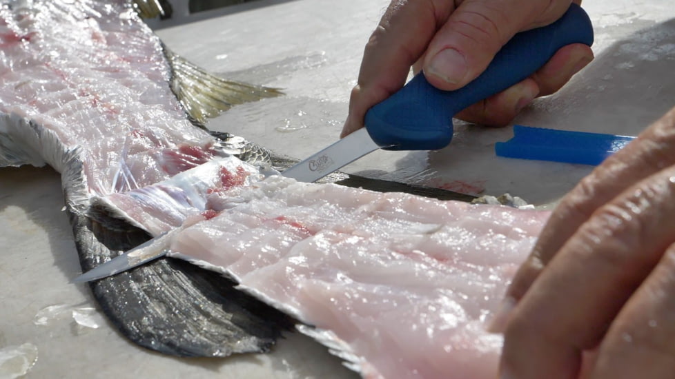 Cuda AquaTuff Fillet Knife with Blade Cover, Blue, 6in, 23045