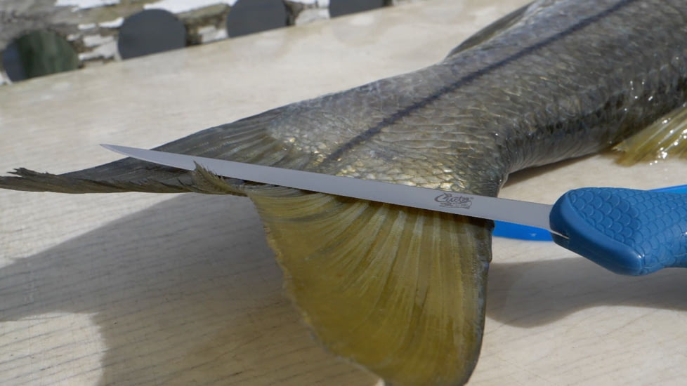 Cuda AquaTuff Fillet Knife with Blade Cover, Blue, 6in, 23045