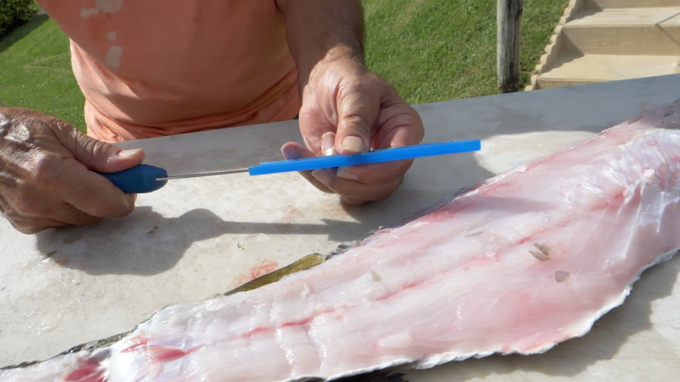 Cuda AquaTuff Fillet Knife with Blade Cover, Blue, 6in, 23045